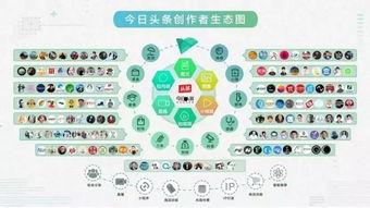 今日头条 100万美元,揭秘背后投资策略与市场动向